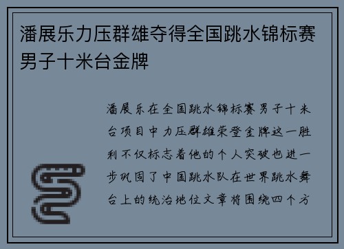 潘展乐力压群雄夺得全国跳水锦标赛男子十米台金牌
