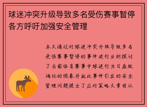 球迷冲突升级导致多名受伤赛事暂停各方呼吁加强安全管理