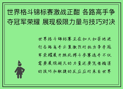 世界格斗锦标赛激战正酣 各路高手争夺冠军荣耀 展现极限力量与技巧对决